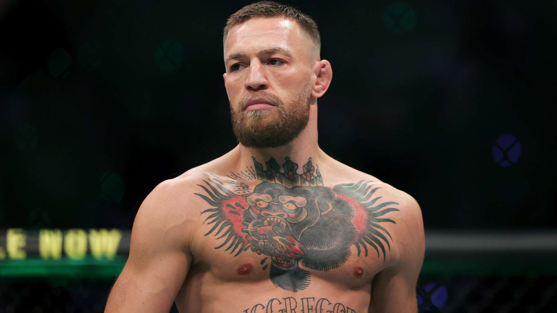 年轻球员可 年轻球员可