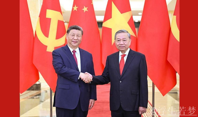 习近平同越共中央总书记苏林举行会谈